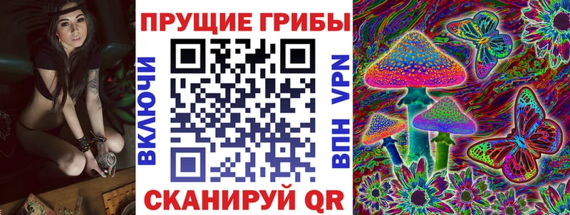 kraken ссылки  Нарткала  Галлюциногенные грибы GOLDEN TEACHER  сколько стоит 